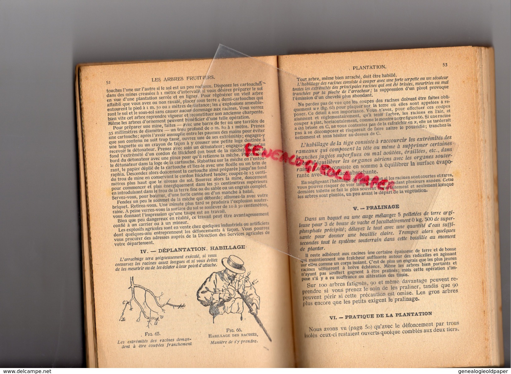 ENCYCLOPEDIE CONNAISSANCES AGRICOLES-ARBORICULTURE FRUITIRE-J. VERCIER-HACHETTE-1910- HORTICULTURE-AGRICULTURE-FLORE - Encyclopédies