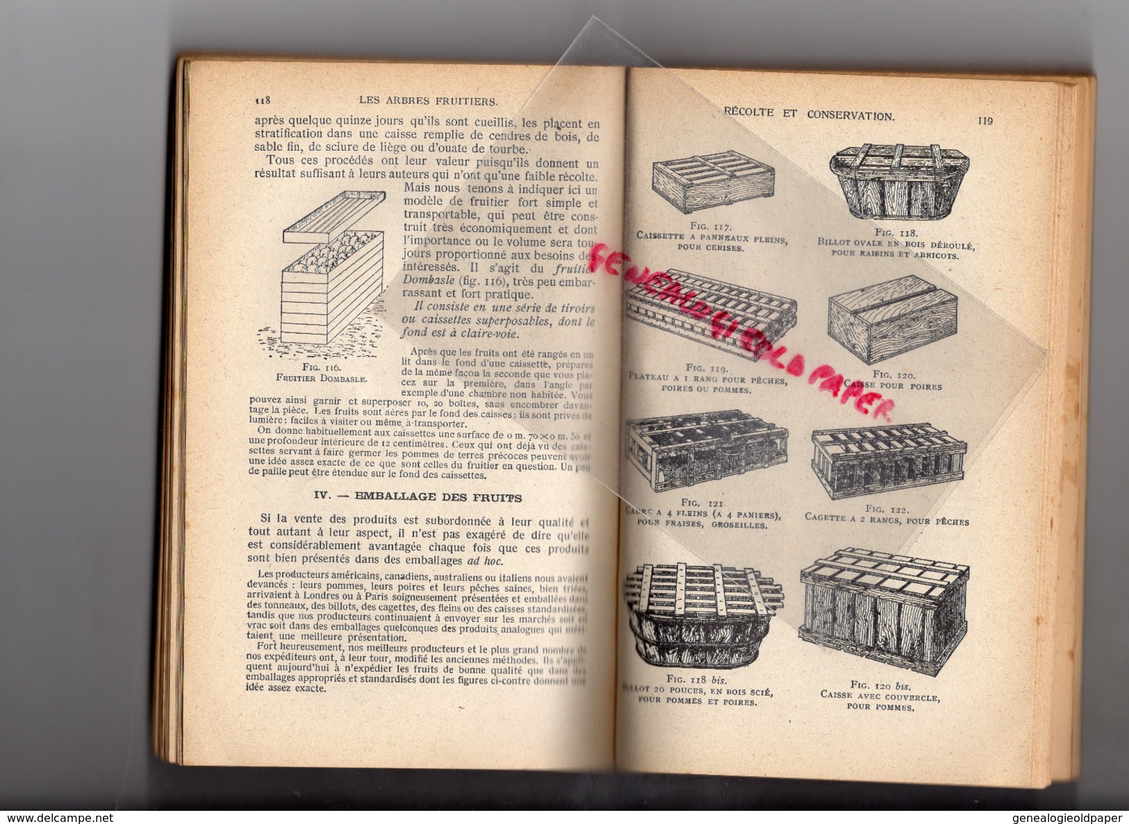 ENCYCLOPEDIE CONNAISSANCES AGRICOLES-ARBORICULTURE FRUITIRE-J. VERCIER-HACHETTE-1910- HORTICULTURE-AGRICULTURE-FLORE - Enzyklopädien