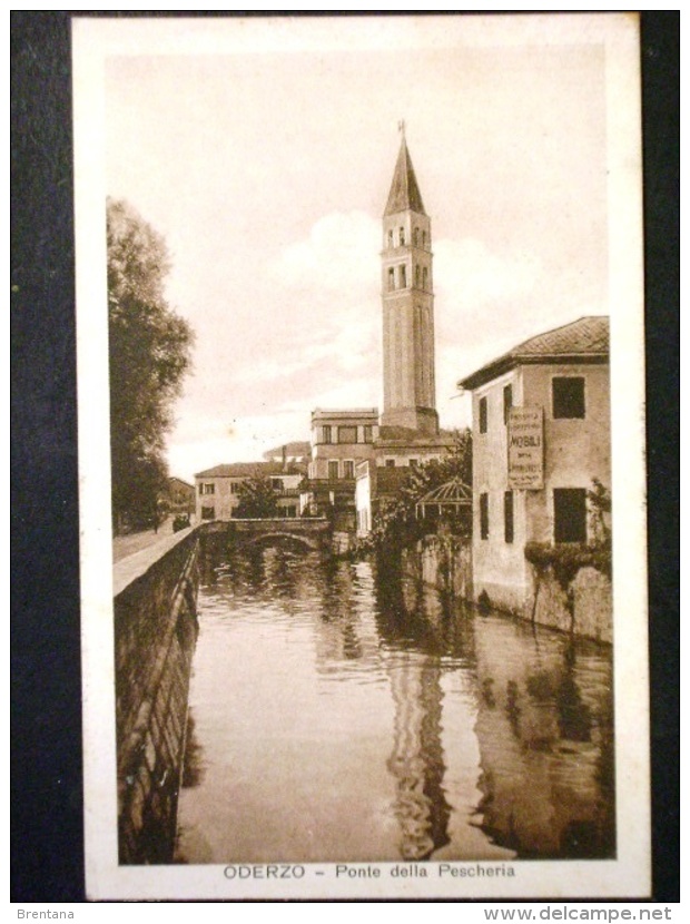 VENETO -TREVISO -ODERZO -F.P. - Treviso