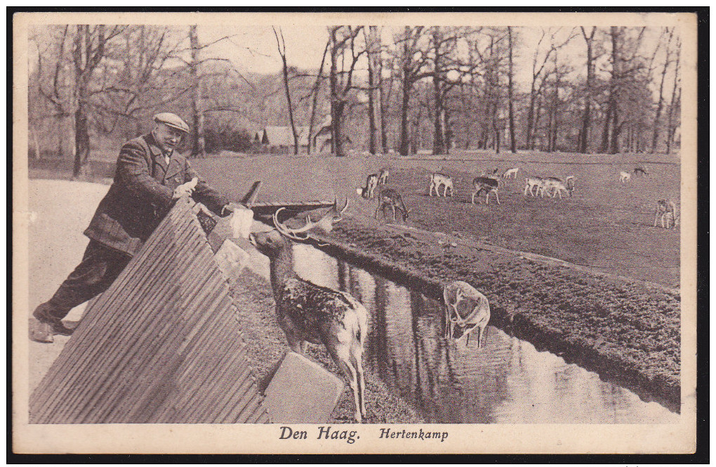 Den Haag, Hertenkamp (00133) - Den Haag ('s-Gravenhage)