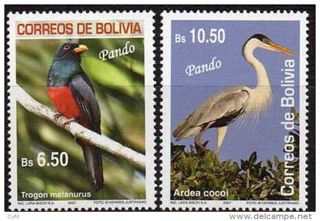 BOLIVIE / BOLIVIA 2007. Oiseaux Du Pando. Birds (2) - Other & Unclassified
