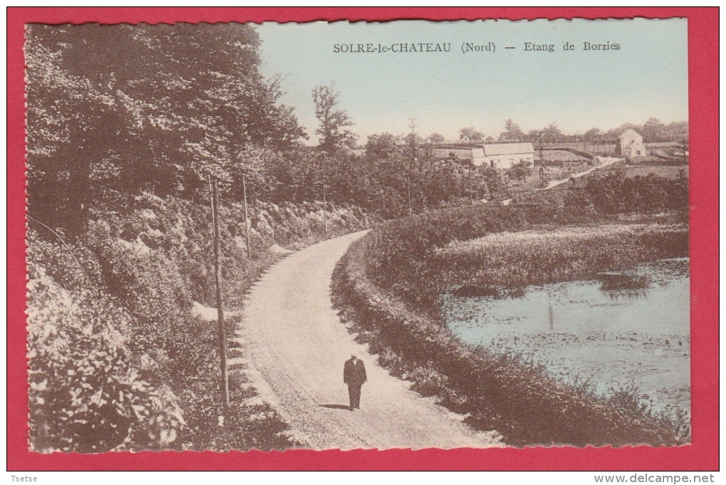 Solre-le-Château - Etang De Borzies - Edition : Leleux-Solre-le-Château ( Voir Verso ) - Solre Le Chateau