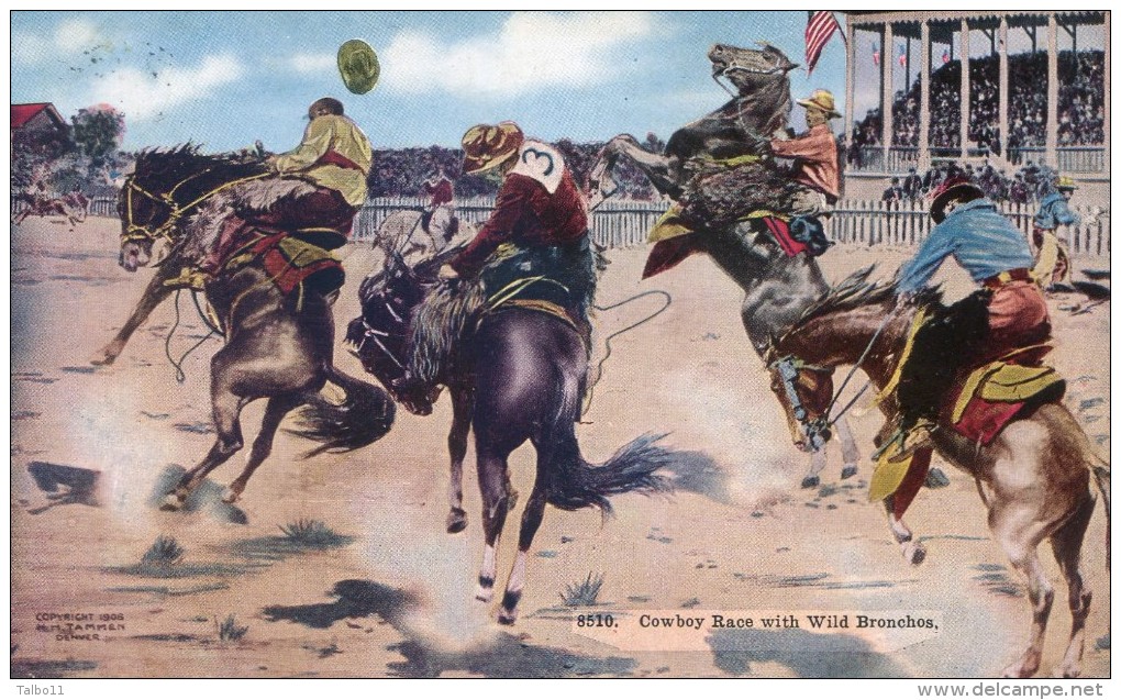 Cowboy Race With Wild Bronchos - Rodeo - Carte Envoyéé De Cheyenne - Denver