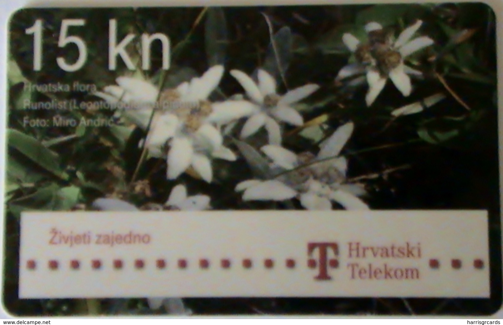 CROATIA - Flowers (Leontopodium Alpinum), T Telecom Telecard 15 Kn, Exp.date 12/13, Used - Kroatien