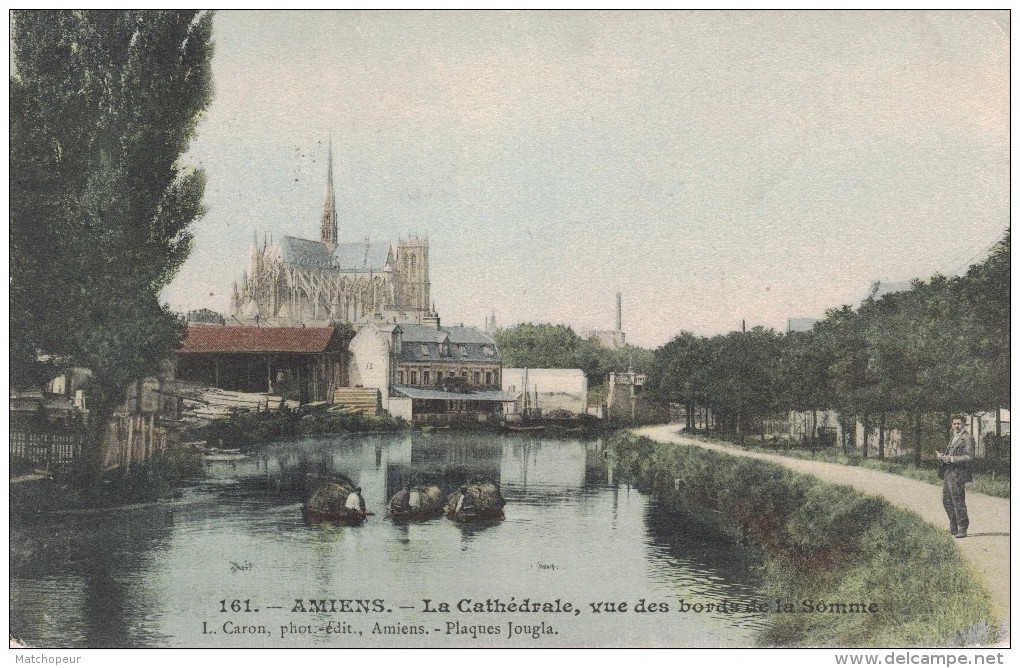 AMIENS -80- LA CATHEDRALE VUE DES BORDS DE LA SOMME - Amiens