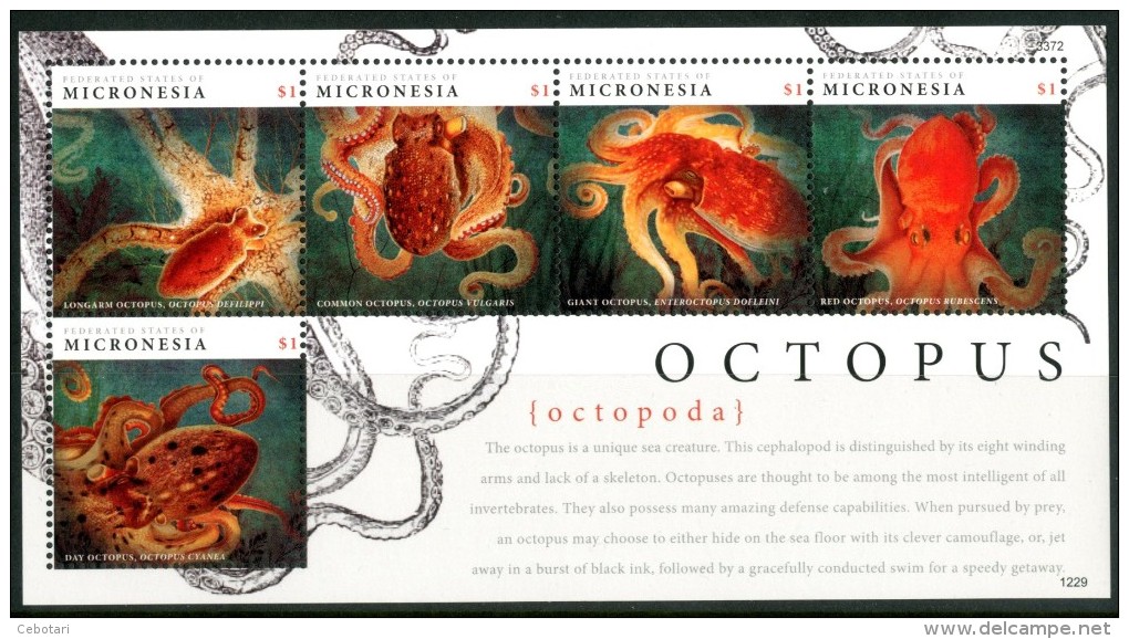 MICRONESIA 2012** - Polpo / Octopus -  Block MNH Come Da Scxansione - Marine Life