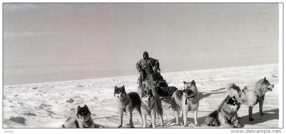 TAAF : Chiens De Traineaux N° 3/9  Cp éditée  à L'occasion Du 50 E Anniversaire Des Expéditions Polaires Française - TAAF : Franz. Süd- Und Antarktisgebiete