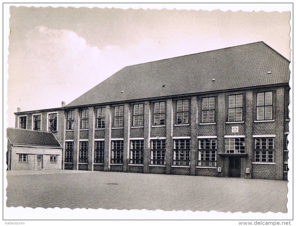 Torhout: Sint-Jozefsinstituut ; Lagere Normaalschool - Voorbereidende Afdeling ( 2 Scans) - Torhout