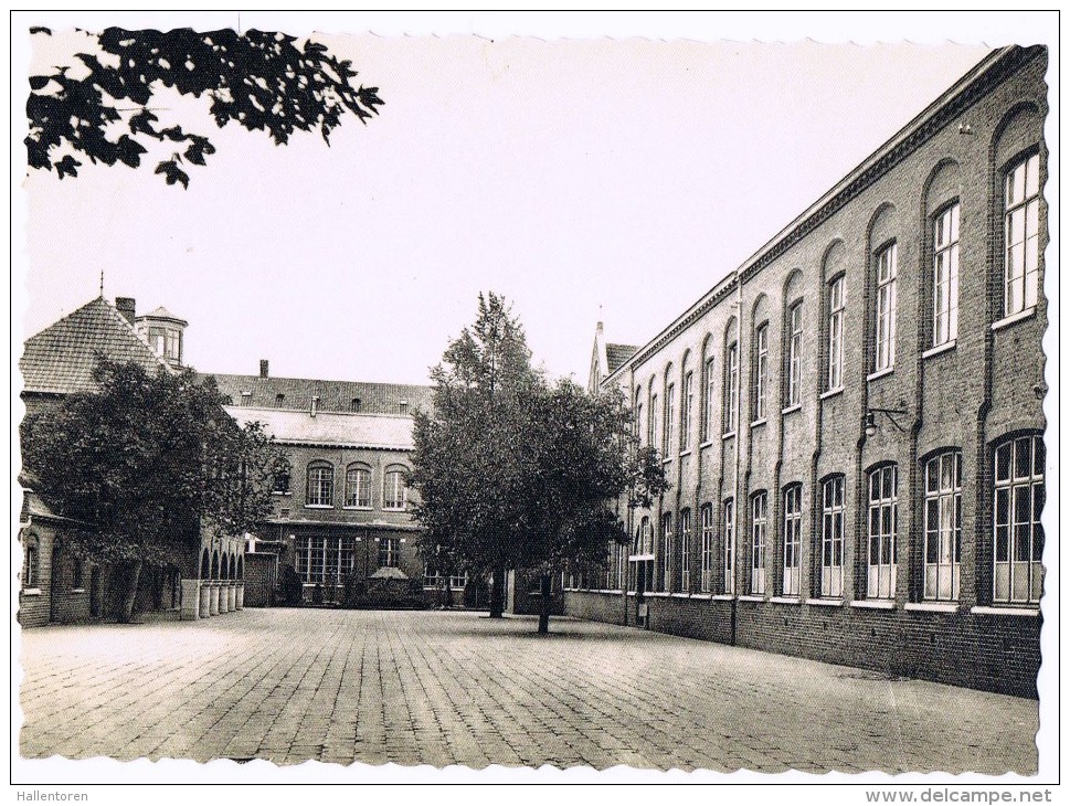 Torhout: Sint-Jozefsinstituut ; Lagere Normaalschool - Lagere Afdeling ( 2 Scans) - Torhout