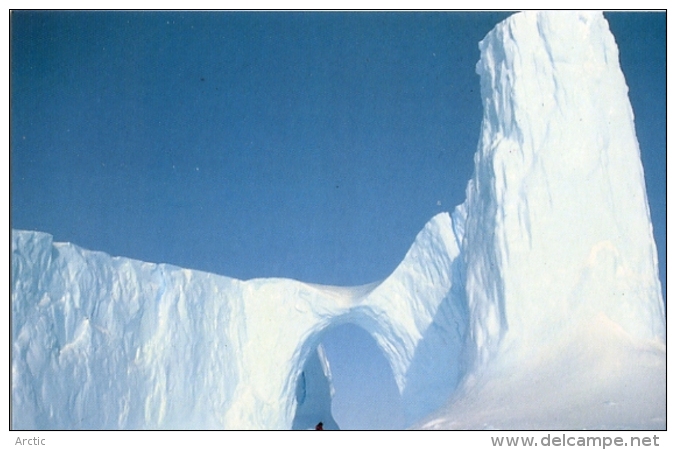 TAAF :Solitude Cp éditée  à L'occasion Du 50 E Anniversaire Des Expéditions Polaires Française - TAAF : French Southern And Antarctic Lands