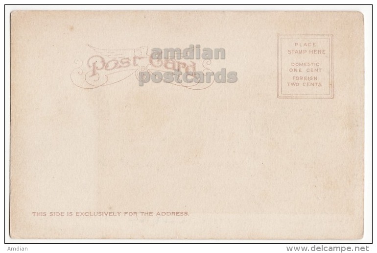 USA - ST PAUL Minnesota MN - GATES AJAR - COMO PARK - Antique Ca1903 UDB Unused Vintage Postcard [6149] - St Paul