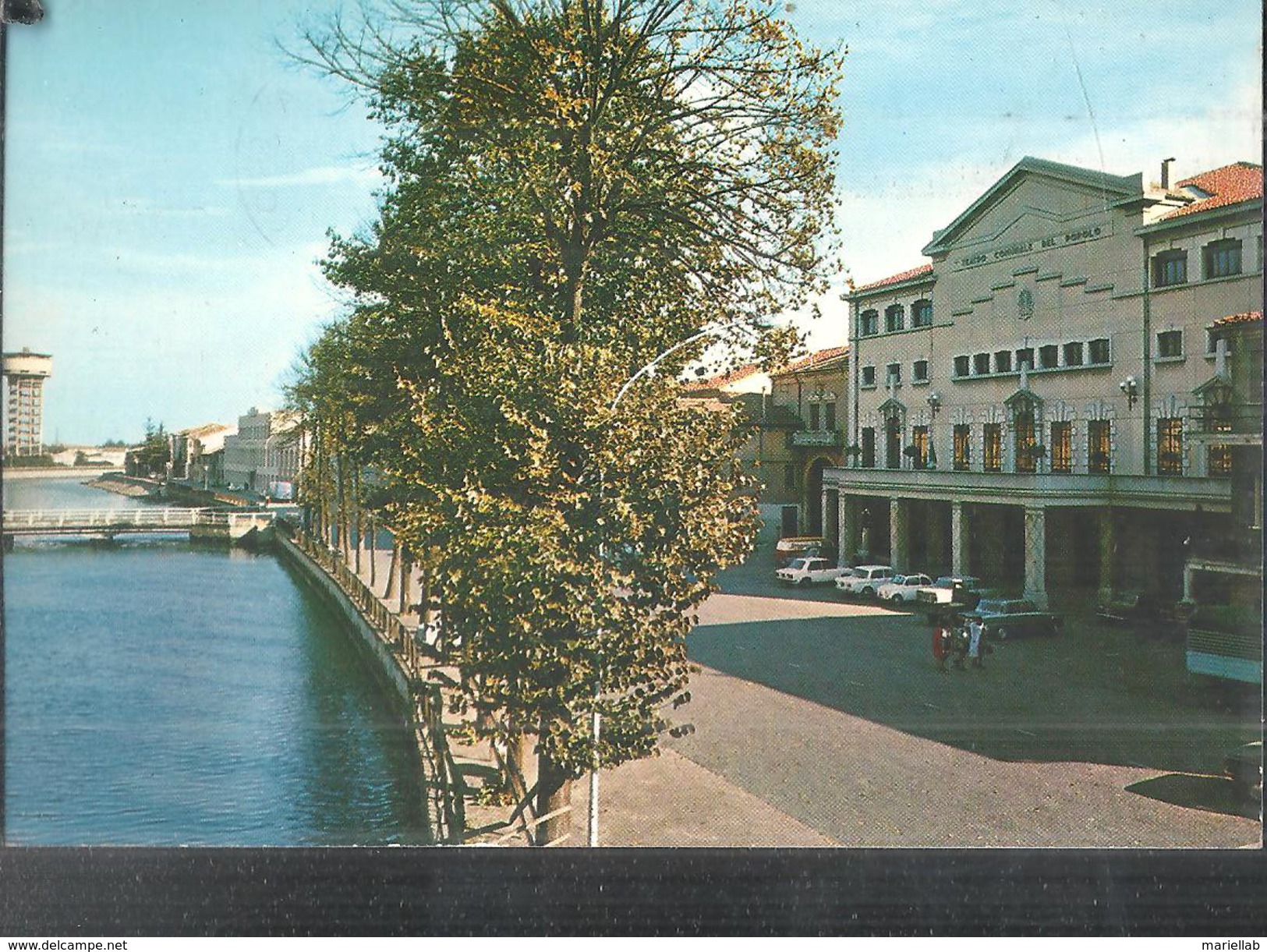 ROVIGO TEATRO COMUNALE,PANORAMA,VIAGGIATA .1977.FG.G246-M - Rovigo