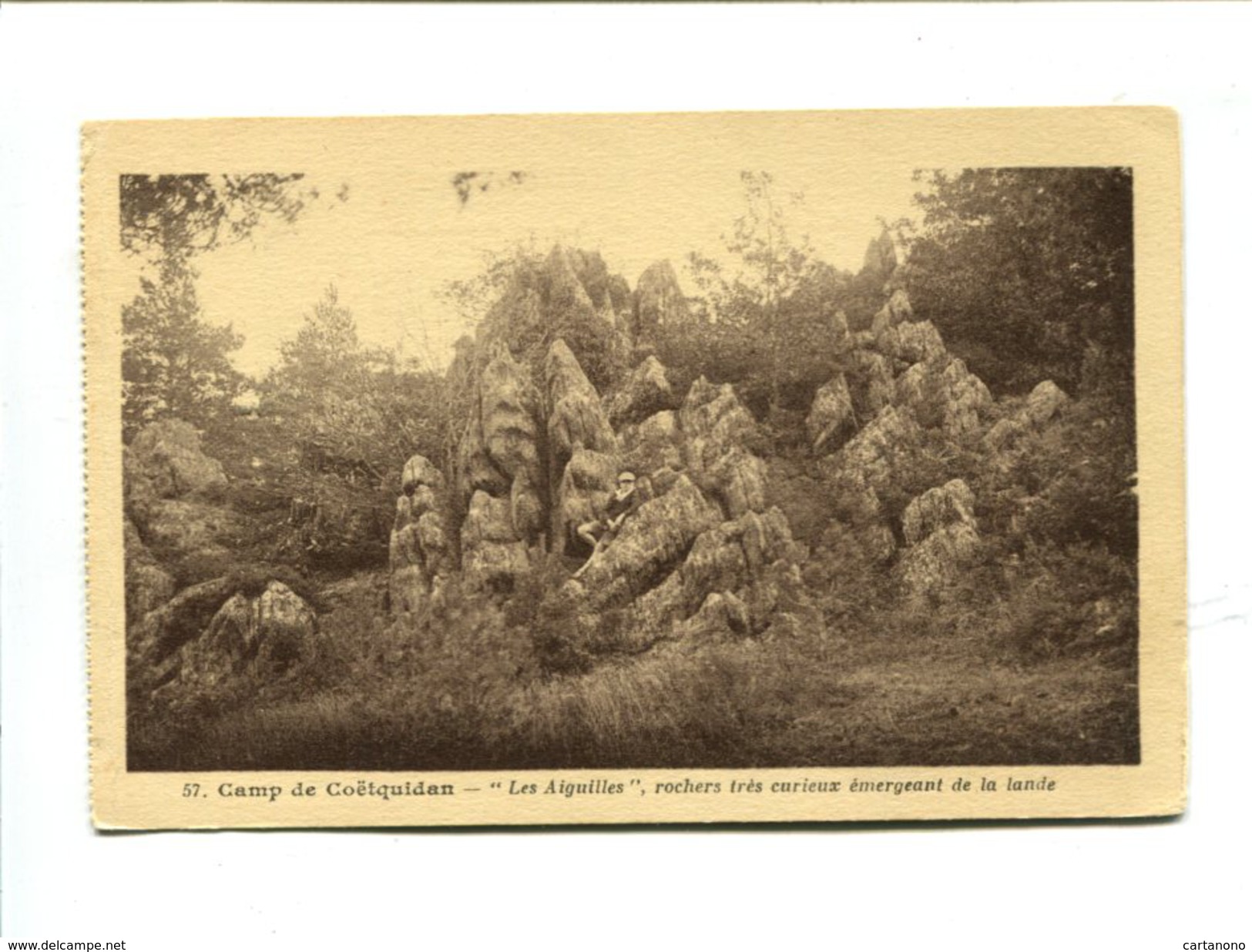 Cp - Camp De Coëtquidan (56) - "Les Aiguilles" Rochers Très Curieux émergeant De La Lande - Guer Coetquidan