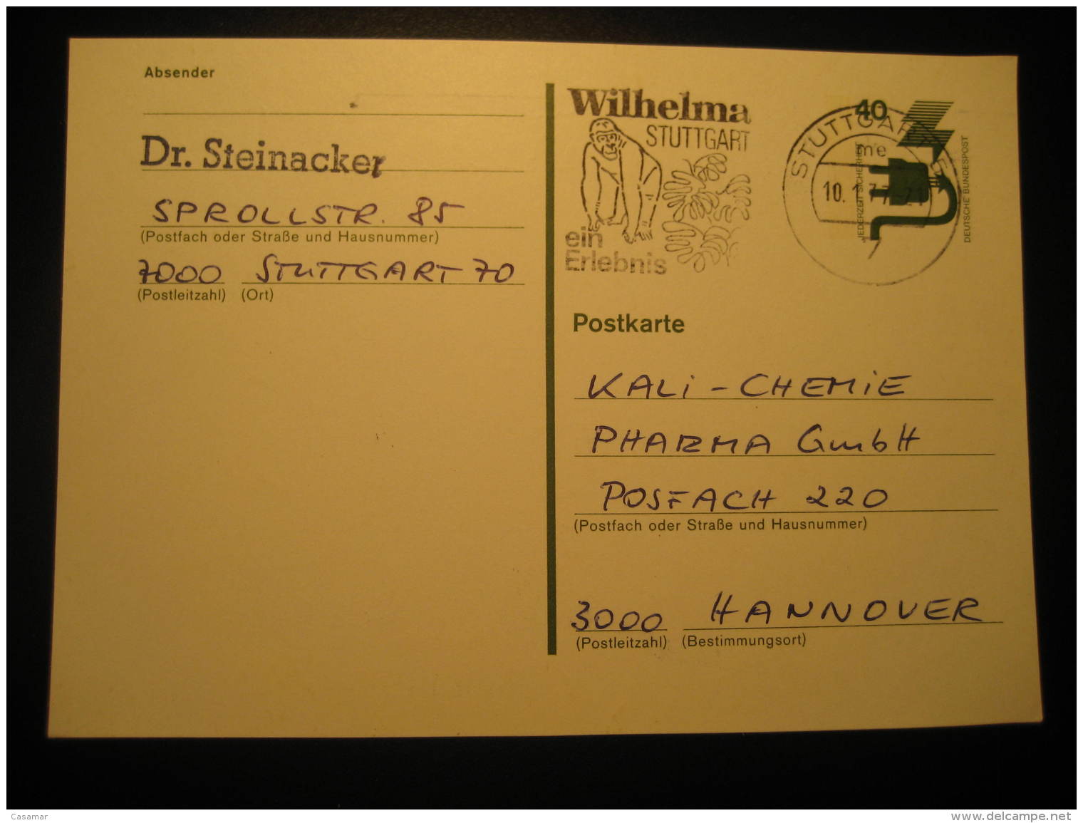 GORILLA Gorillas Stuttgart Cancel Postal Stationery Card Germany - Gorilles