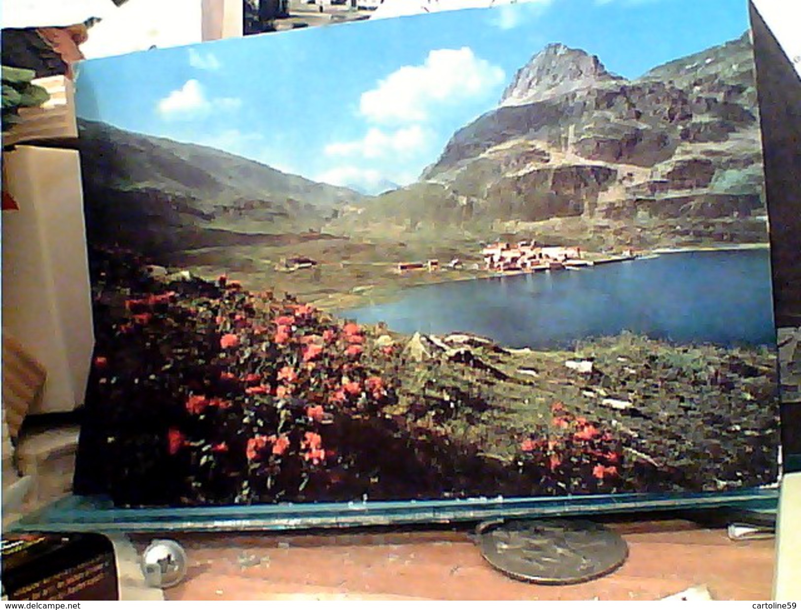 7 CARD VALLE SPLUGA STRADA LAGO E ISOLA PAESE CASCATA PIANAZZO  VB1960/83 FS7263 - Sondrio