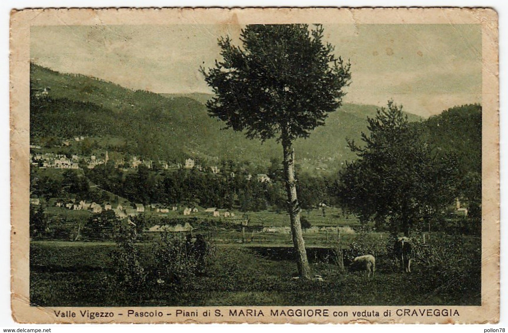 VALLE VIGEZZO - PASCOLO - PIANI DI S. MARIA MAGGIORE CON VEDUTA CRAVEGGIA - VERBANIA - Vedi Retro - Formato Piccolo - Verbania