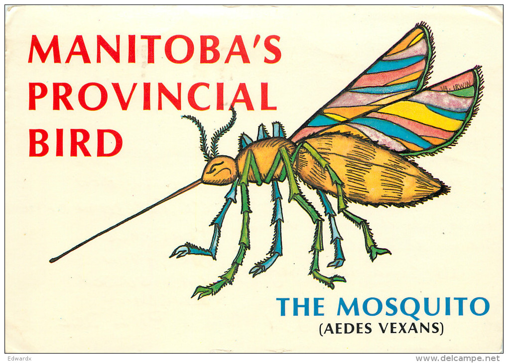 Mosquito, Manitoba, Canada Postcard Posted 1983 Stamp - Other & Unclassified