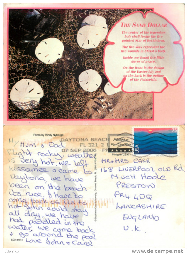 Sand Dollar, Florida, United States US Postcard Posted 2006 Stamp - Autres & Non Classés