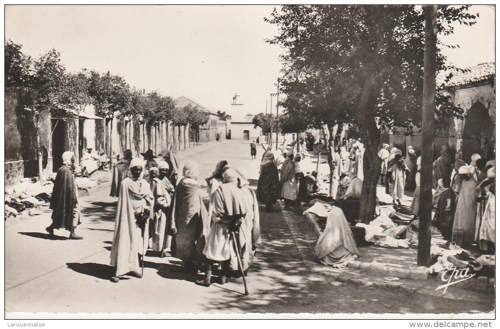 DJEFA - Avenue De La Mosquée - Djelfa