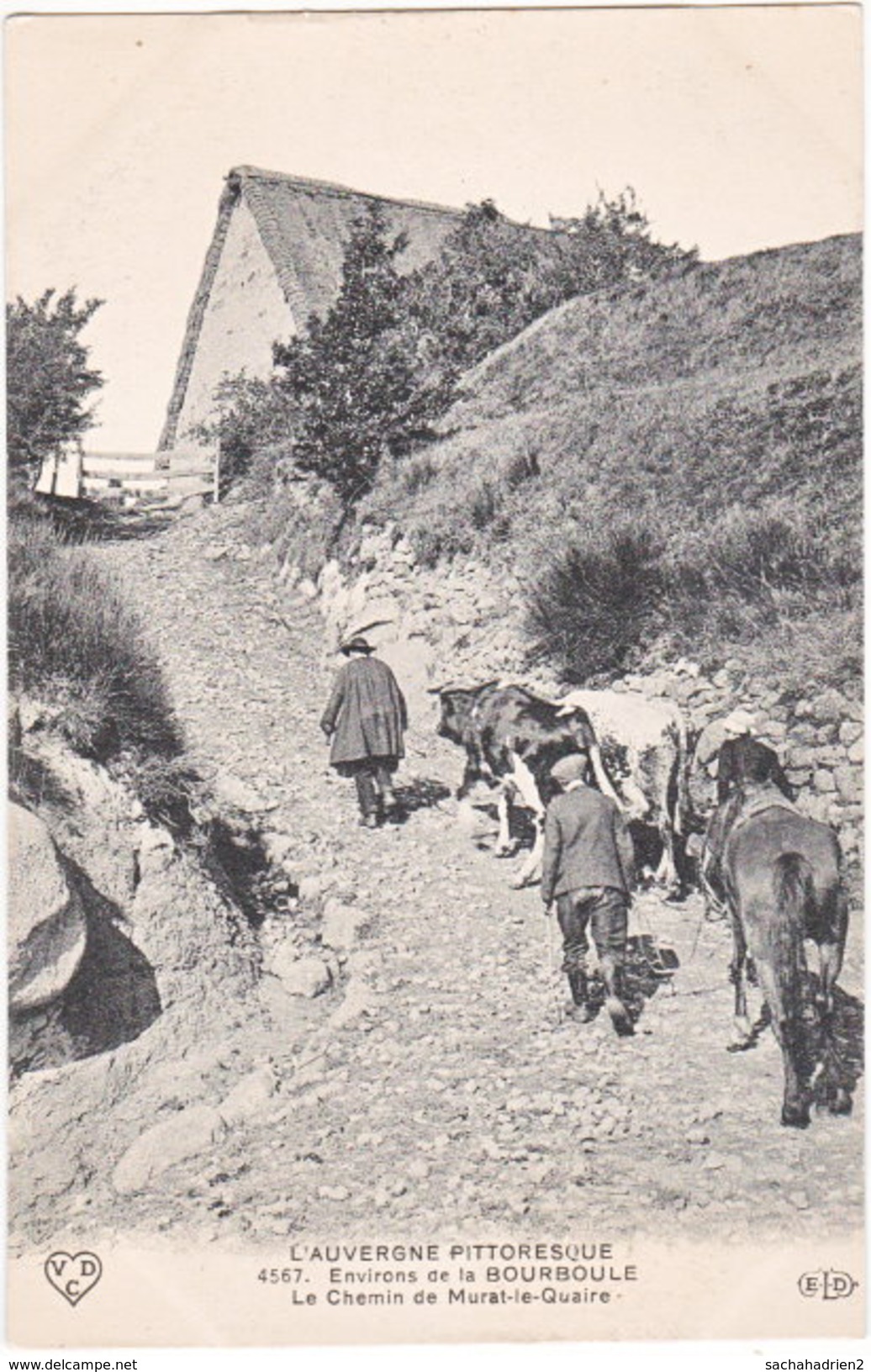 63. Environs De LA BOURBOULE. Le Chemin De Murat-Le-Quaire. 4567 - Autres & Non Classés