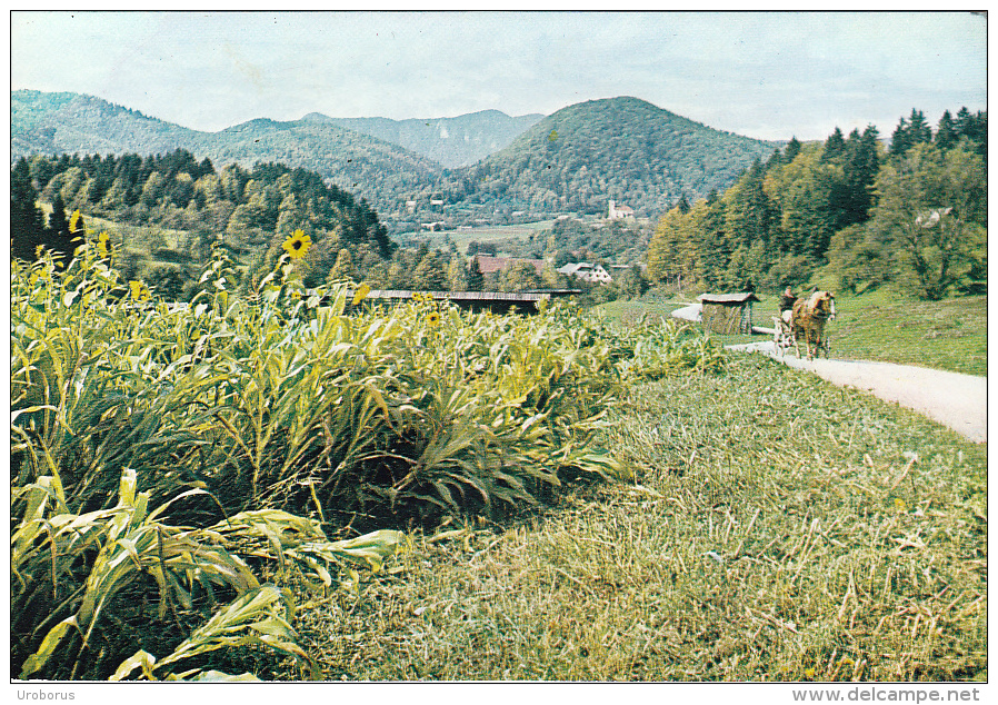 SLOVENIA - Besnica - Panorama - Slovénie