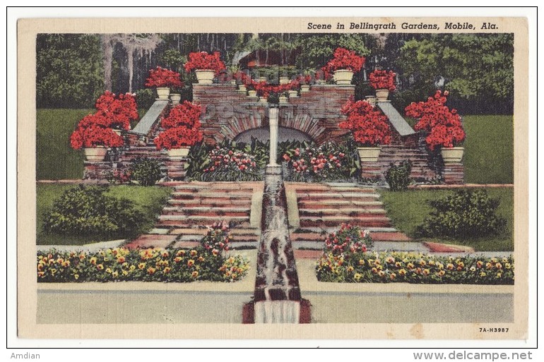 USA - MOBILE ALABAMA AL - BELLINGRATH GARDENS VIEW - AZALEA FLOWERS ~ C1948 Vintage Postcard [6183] - Mobile