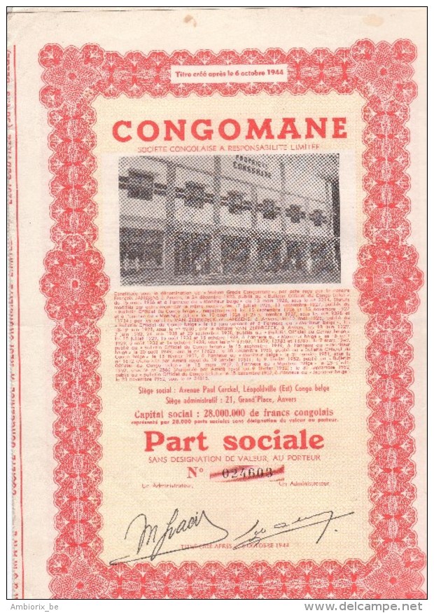 CongoMane - Part Sociale - Capital 28 000 000 Francs Congolais - Afrika