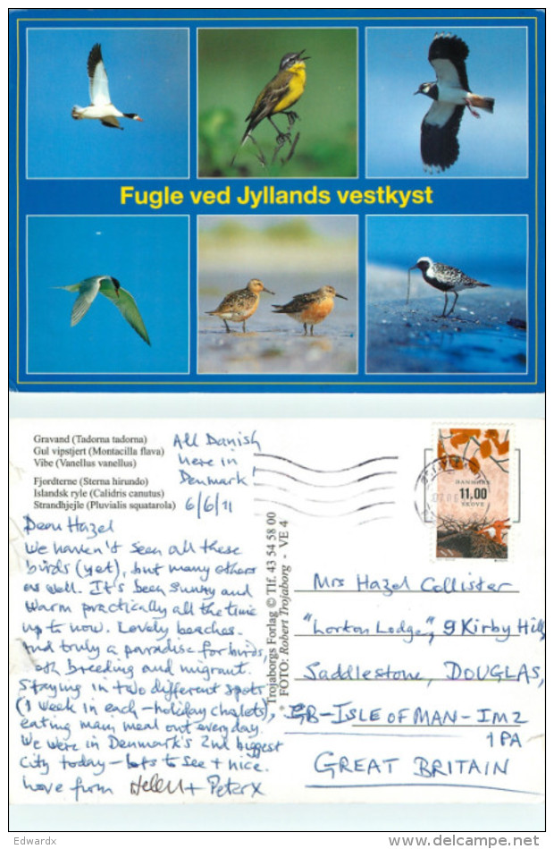 Birds, Denmark Postcard Posted 2011 Stamp - Denmark