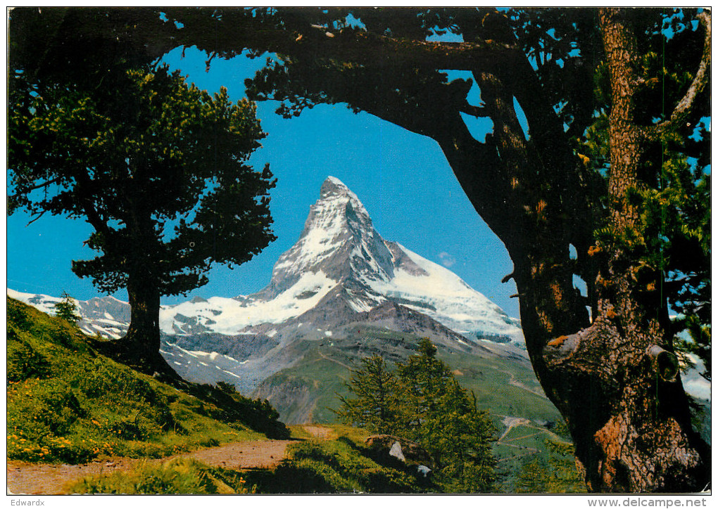 Matterhorn, Zermatt, VS Valais, Switzerland Postcard Posted 1984 Stamp - Zermatt