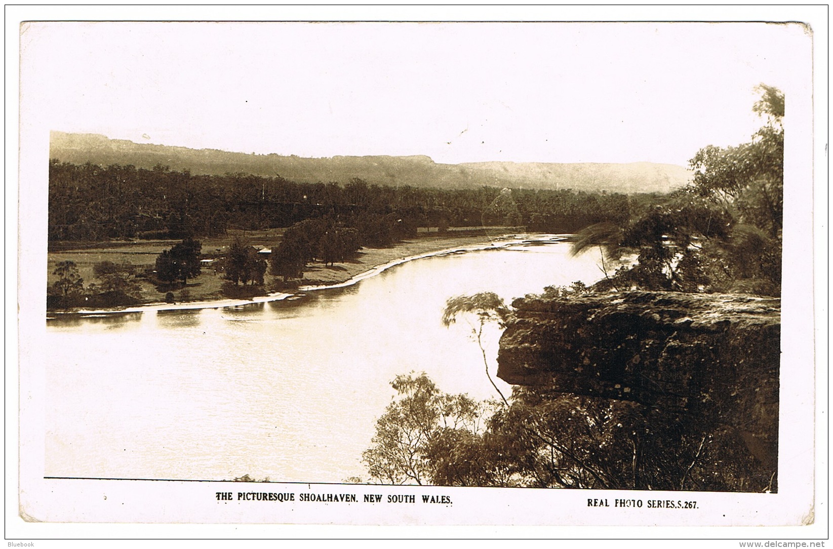 RB 1126 -  Early Real Photo Postcard - Shoalhaven New South Wales - Australia - Sonstige & Ohne Zuordnung