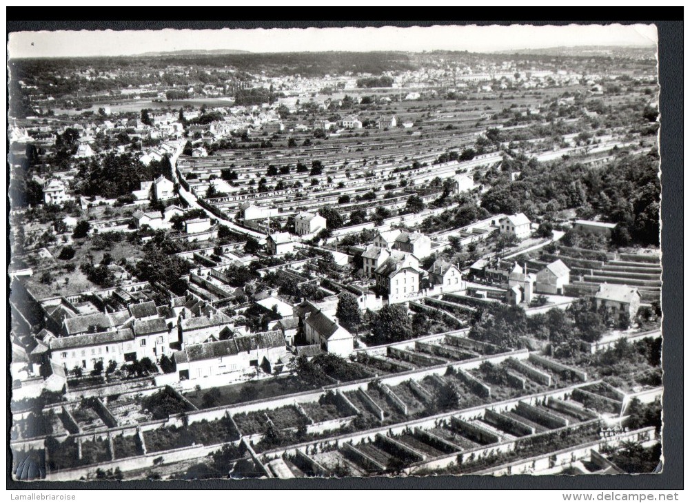 77, EN AVION AU DESSUS DE...THOMERY,VUE GENERALE, LES MURS, CPSM 10 X 15 - Champagne Sur Seine