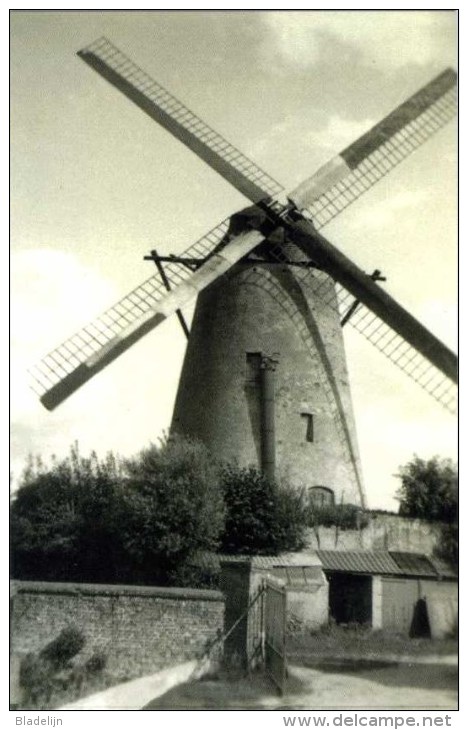 WORTEGEM (O.Vl.) - Molen/moulin - Zeer Zeldzame Opname Van De Gewezen  Boonzakmolen Met Wieken In Bedrijf. TOP! - Wortegem-Petegem