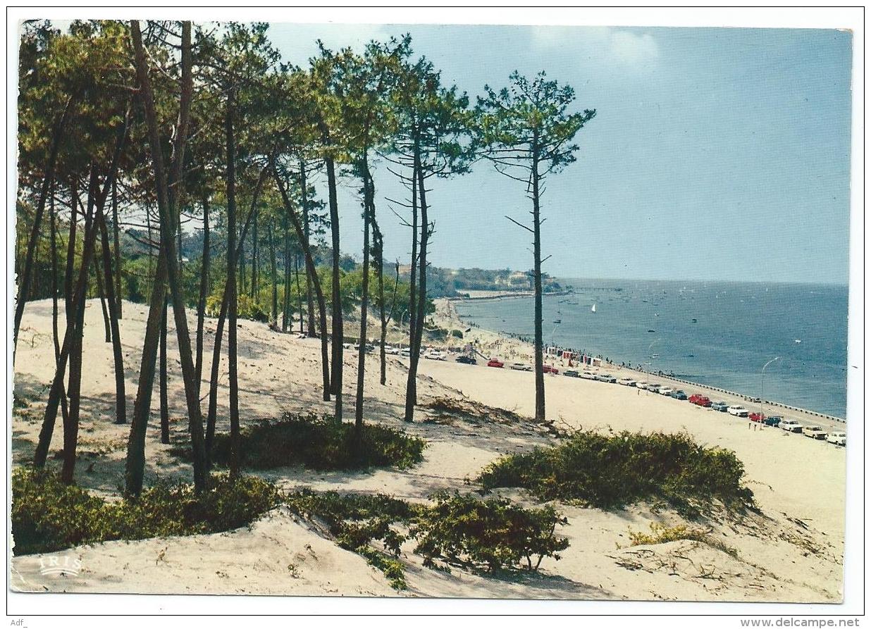 CP ARCACHON - LES ABATILLES, BOULEVARD DU FRONT DE MER, AU FOND LE MOULLEAU, GIRONDE 33 - Arcachon