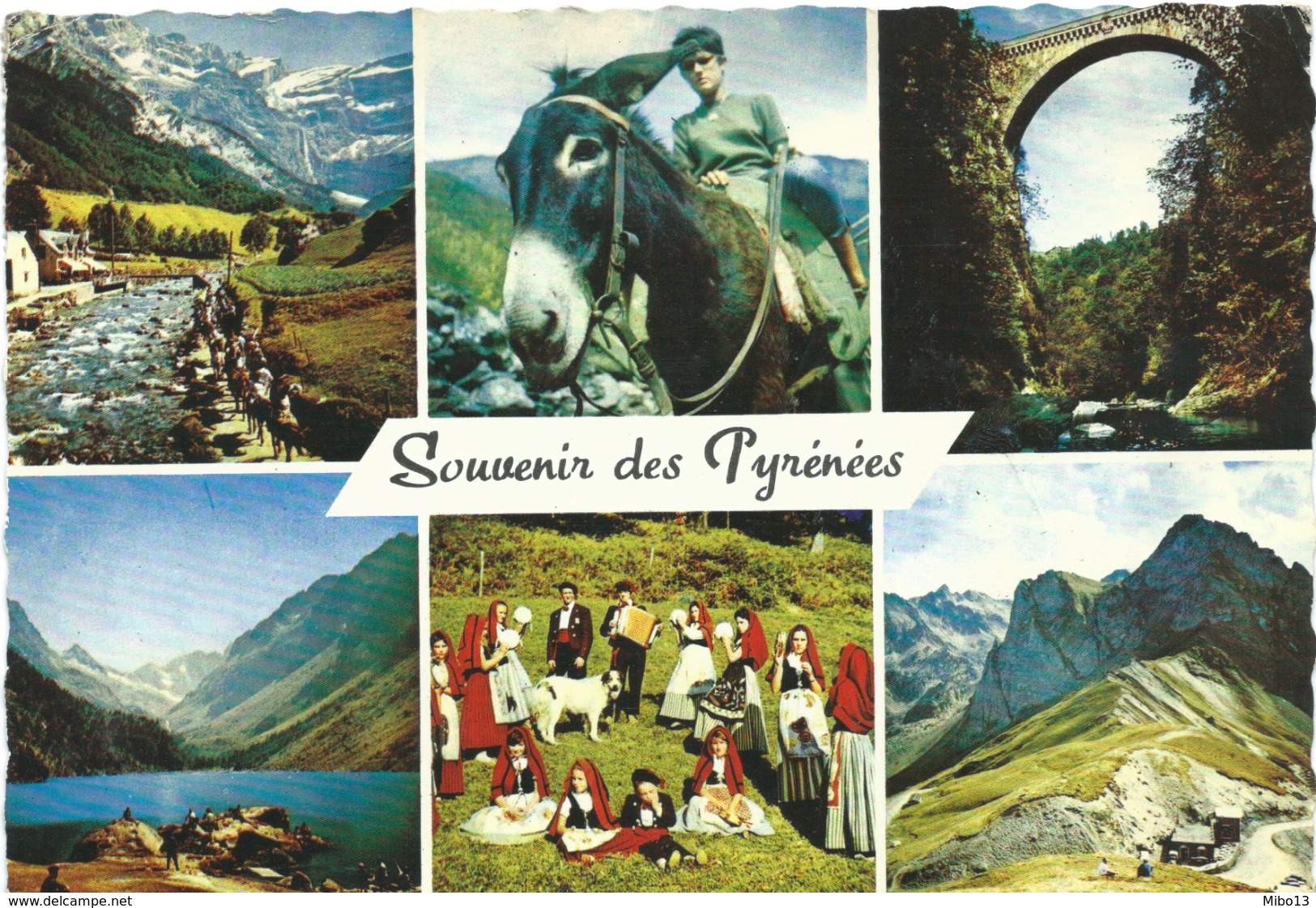 Souvenir Des Pyrénées - Autres & Non Classés