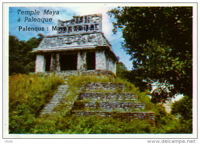 Image, MEXIQUE, MEXICO : Temple Maya à Palenque - Geographie