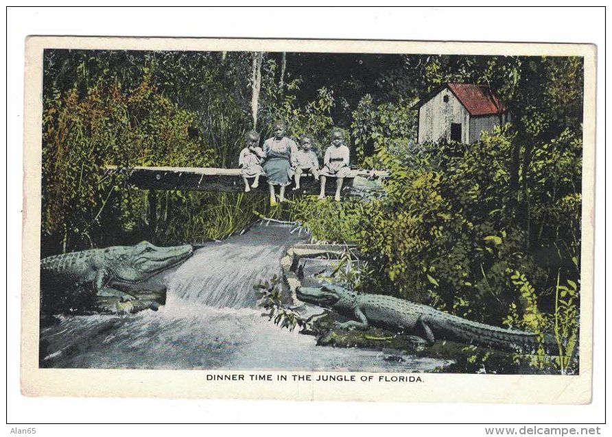 'Dinner Time In The Jungle Of Florida' Black Children Sit On Bridge Above Alligators In River, C1900s Vintage Postcard - Black Americana