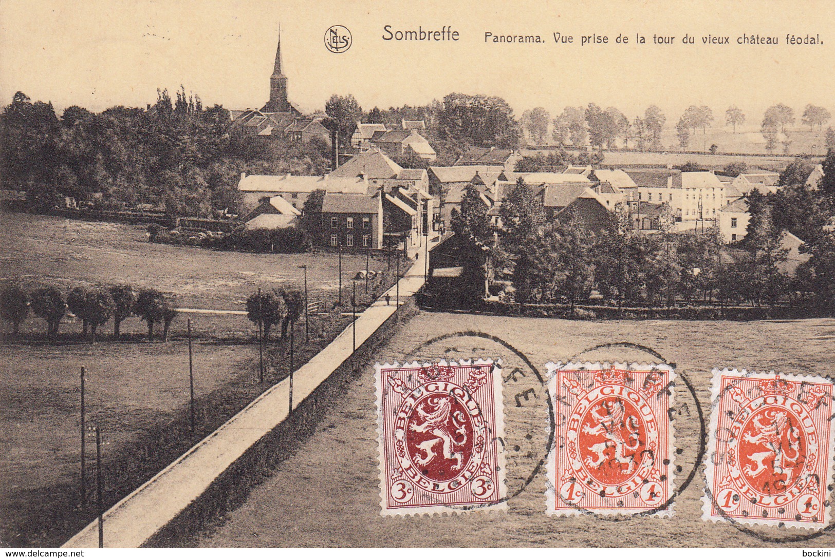 Sombreffe. Panorama. Vue Prise De La Tour Du Château Féodal.  Très Belle Carte - Sombreffe