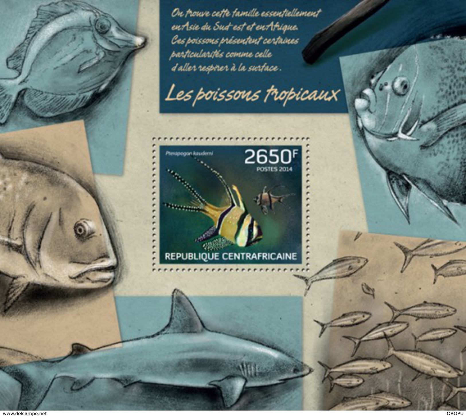 CENTRAL AFRICAN REPUBLIC SHEET. LES POISSONS TROPICAUX. FISHES. PECES TROPICALES. 2014. PERFORADO NUEVO. - Repubblica Centroafricana