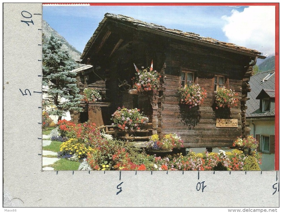 CARTOLINA VG SVIZZERA - ZERMATT - Baita In Legno Tipica - 10 X 15 - ANN. 1997 EUROPA - Zermatt