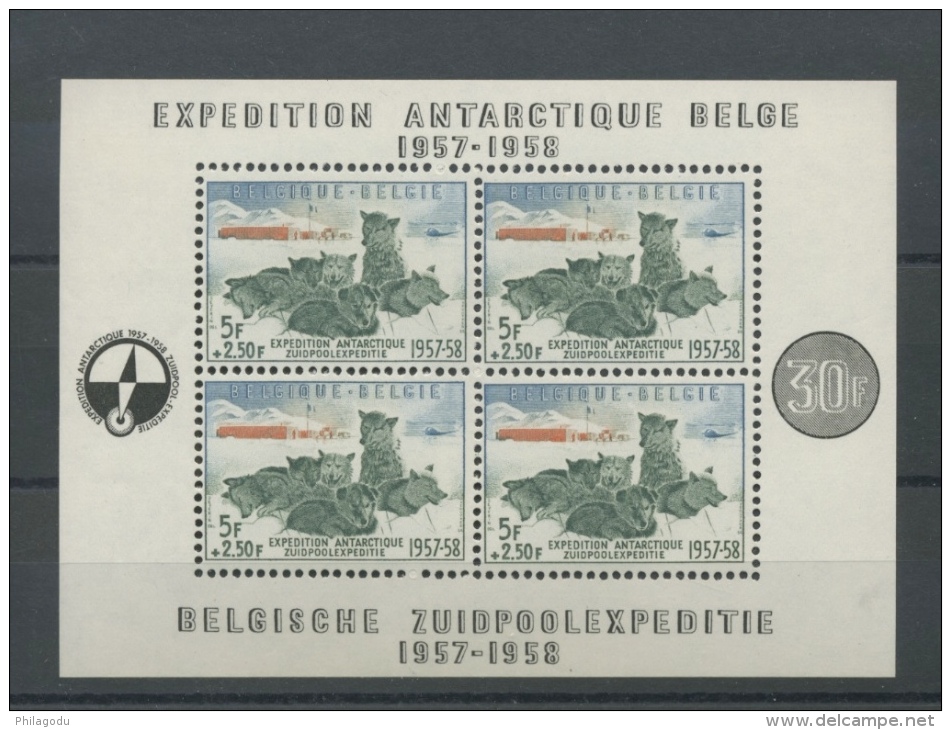 31  Chiens Antartique Luxe **  TB Qualité   Cote 180 E - 1924-1960