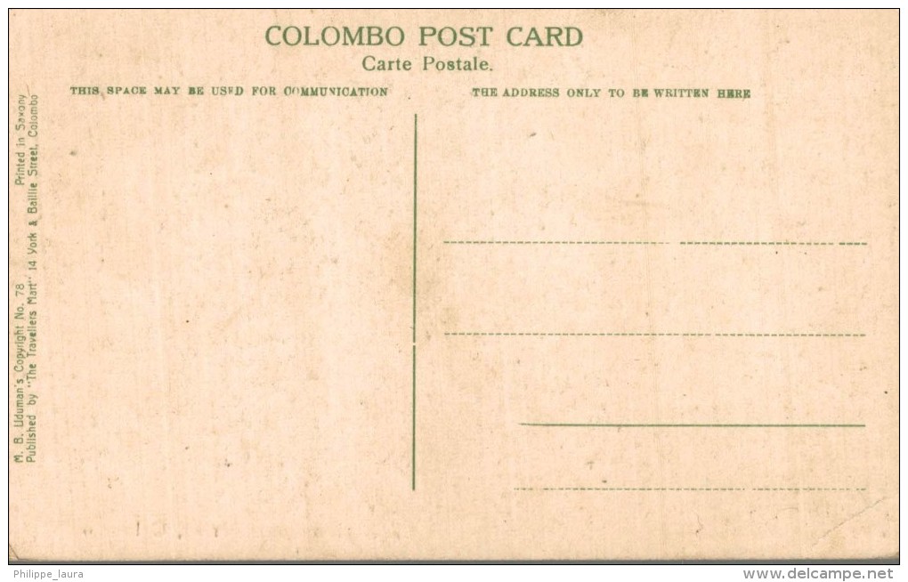 PLUMBAGO CURING COLOMBO - Sri Lanka (Ceilán)