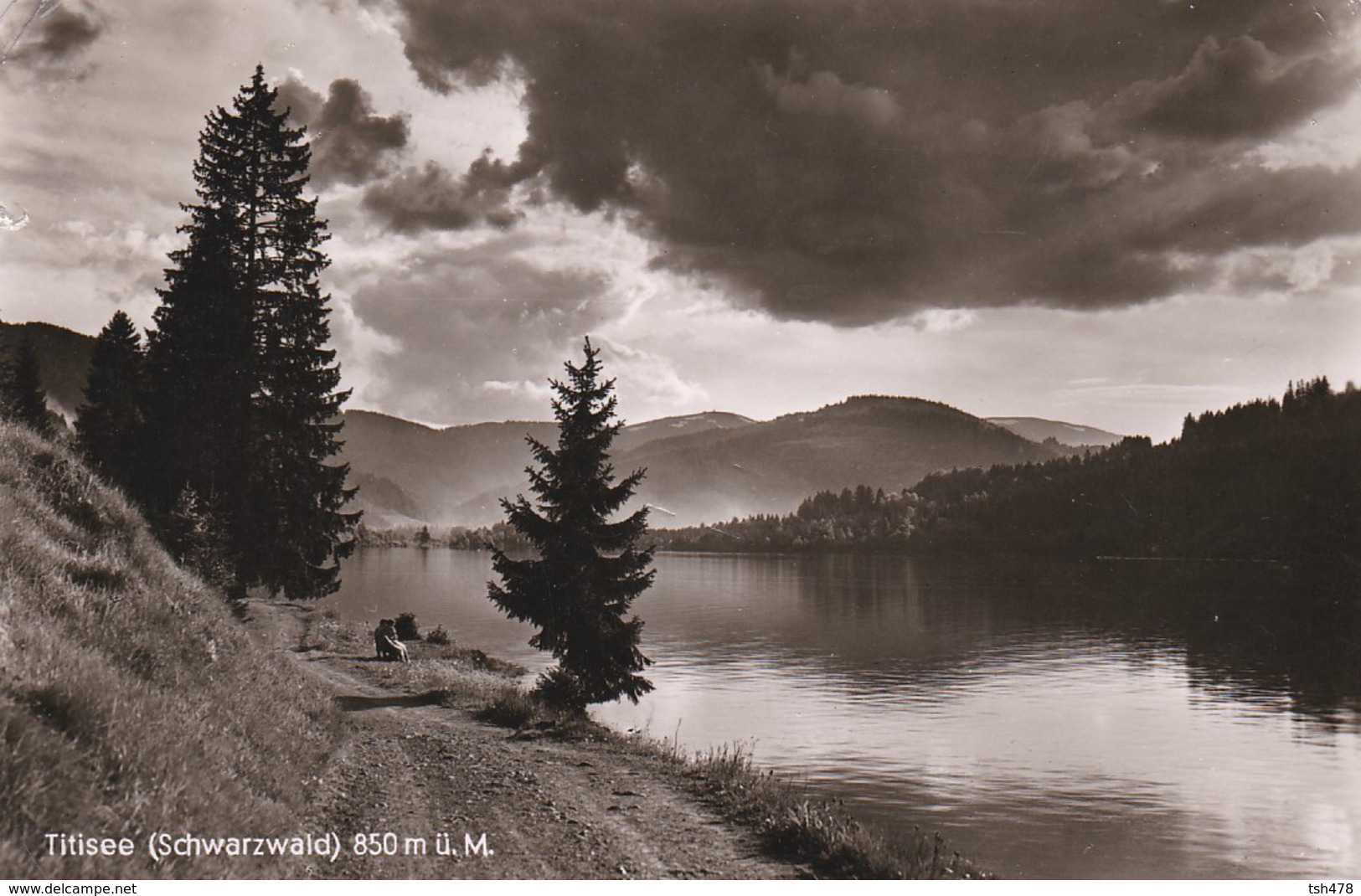 ALLEMAGNE---- TITISEE---(schwarzwald)----voir 2 Scans - Titisee-Neustadt