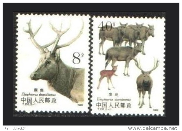 Chine China 1988 Yvert 2917291/8** (ref T132) Cerf - Deer - Unused Stamps