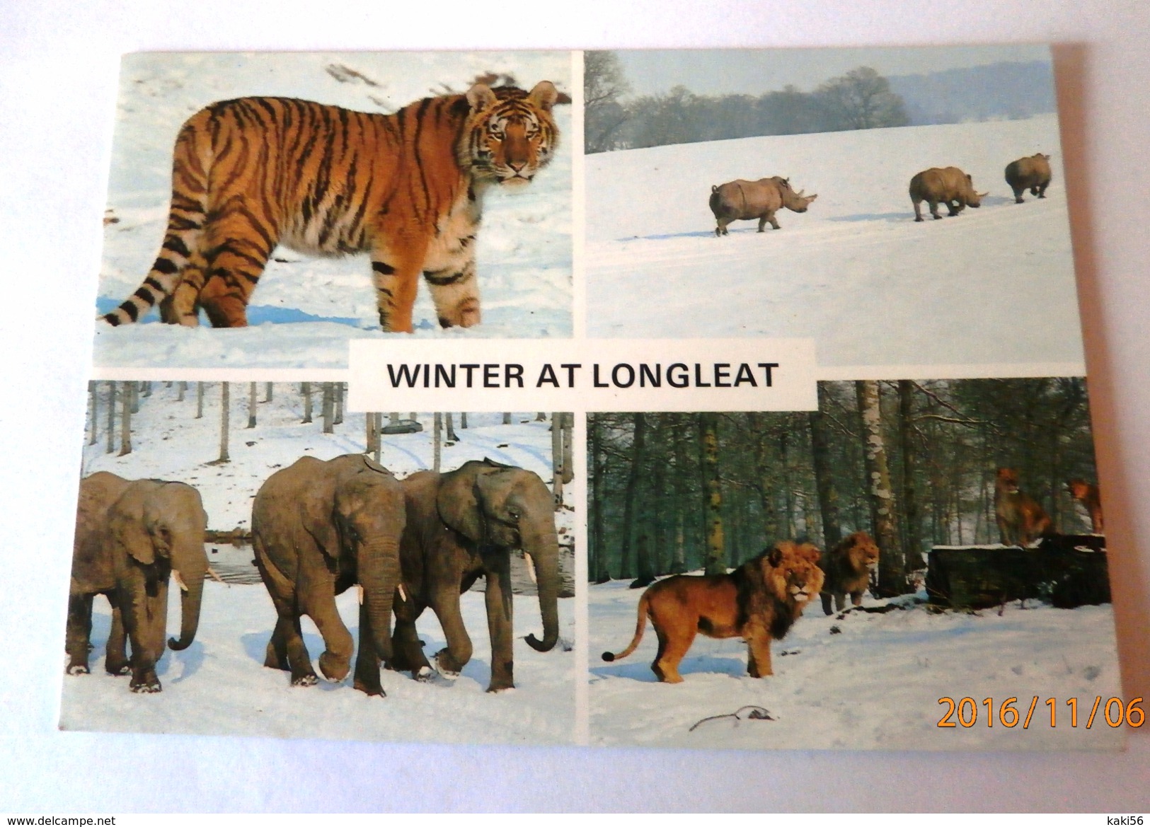 WARMINSTER WINTER AT LONGLEAT TIGRE RHINOCEROS ELEPHANTS LIONS - Autres & Non Classés