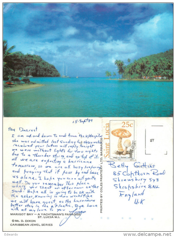 Marigot Bay, St Lucia Postcard Posted 1989 Stamp - Saint Lucia