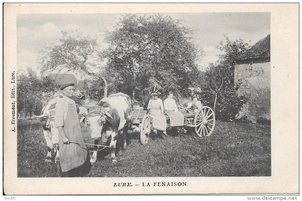 LURE - La Fenaison - Lure