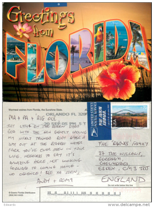 Greetings From, Florida, United States US Postcard Posted 2005 Stamp - Andere & Zonder Classificatie