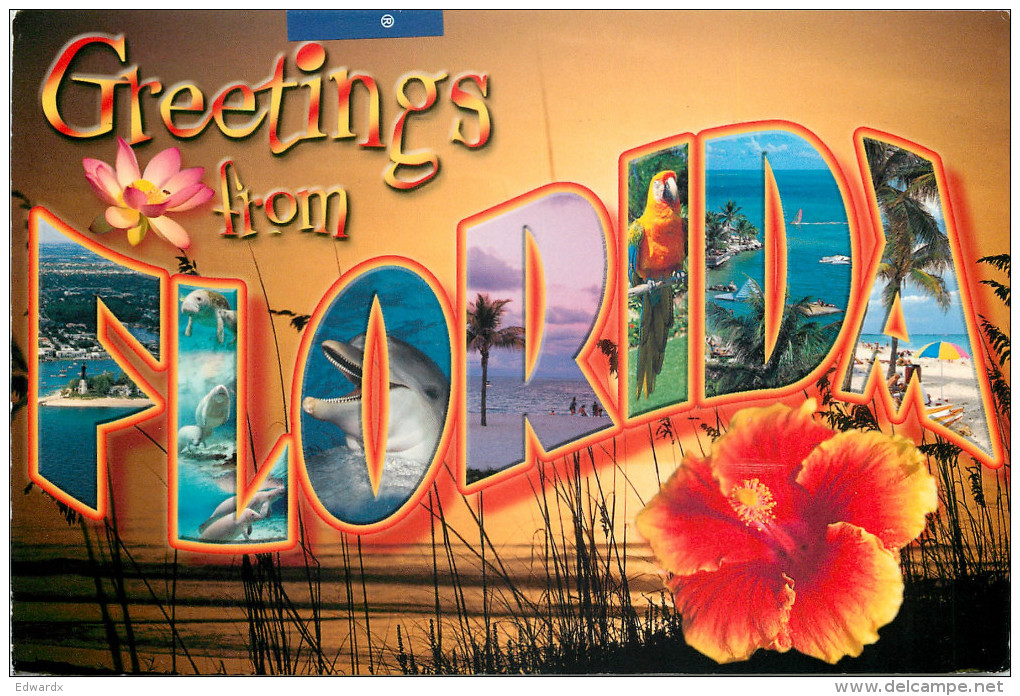 Greetings From, Florida, United States US Postcard Posted 2005 Stamp - Andere & Zonder Classificatie