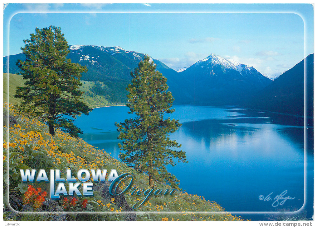 Wallowa Lake, Oregon, United States US Postcard Posted 2014 Stamp - Altri & Non Classificati