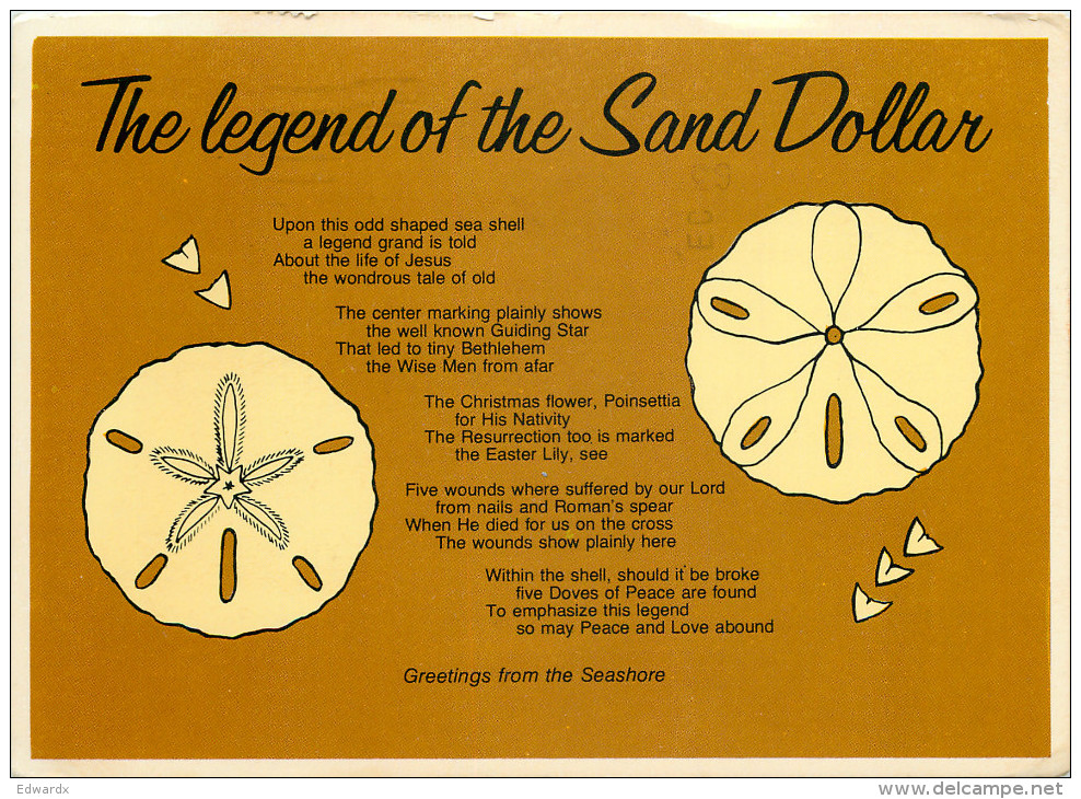 Sand Dollar Shells, Florida, United States US Postcard Posted 1983 Stamp - Autres & Non Classés